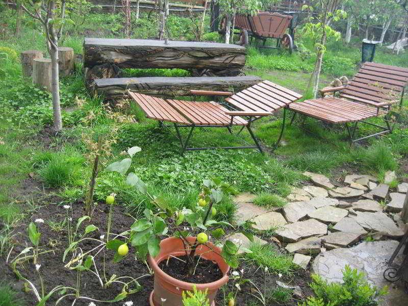 Leaganul Bucovinei Guest House Suceava Eksteriør bilde